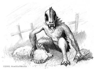 Chupacabra illlustration