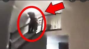 Watts Ghost Sighting