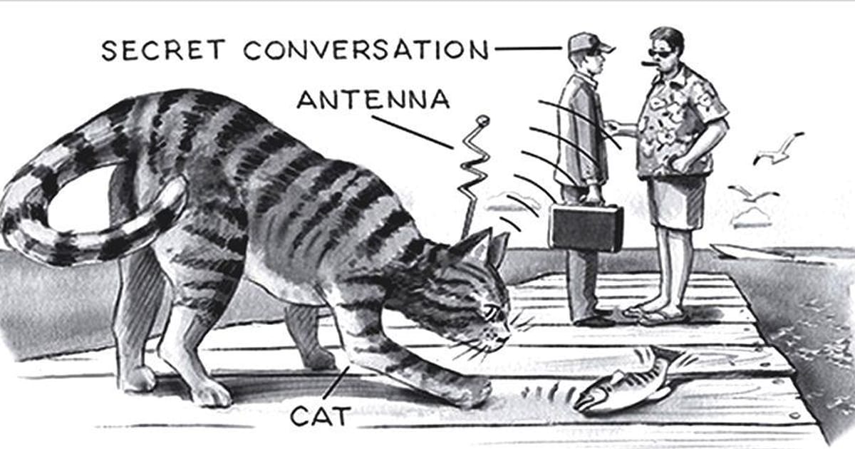 operation-acoustic-kitty